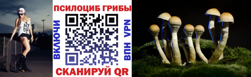 Псилоцибиновые грибы Cubensis  закладка  Олёкминск 